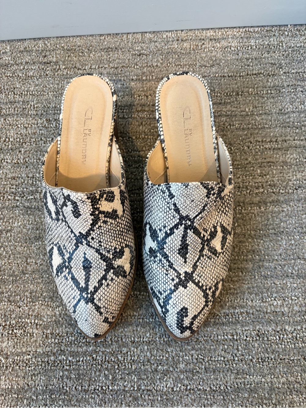 Snakeskin Mules size 7 by Chinese Laundry